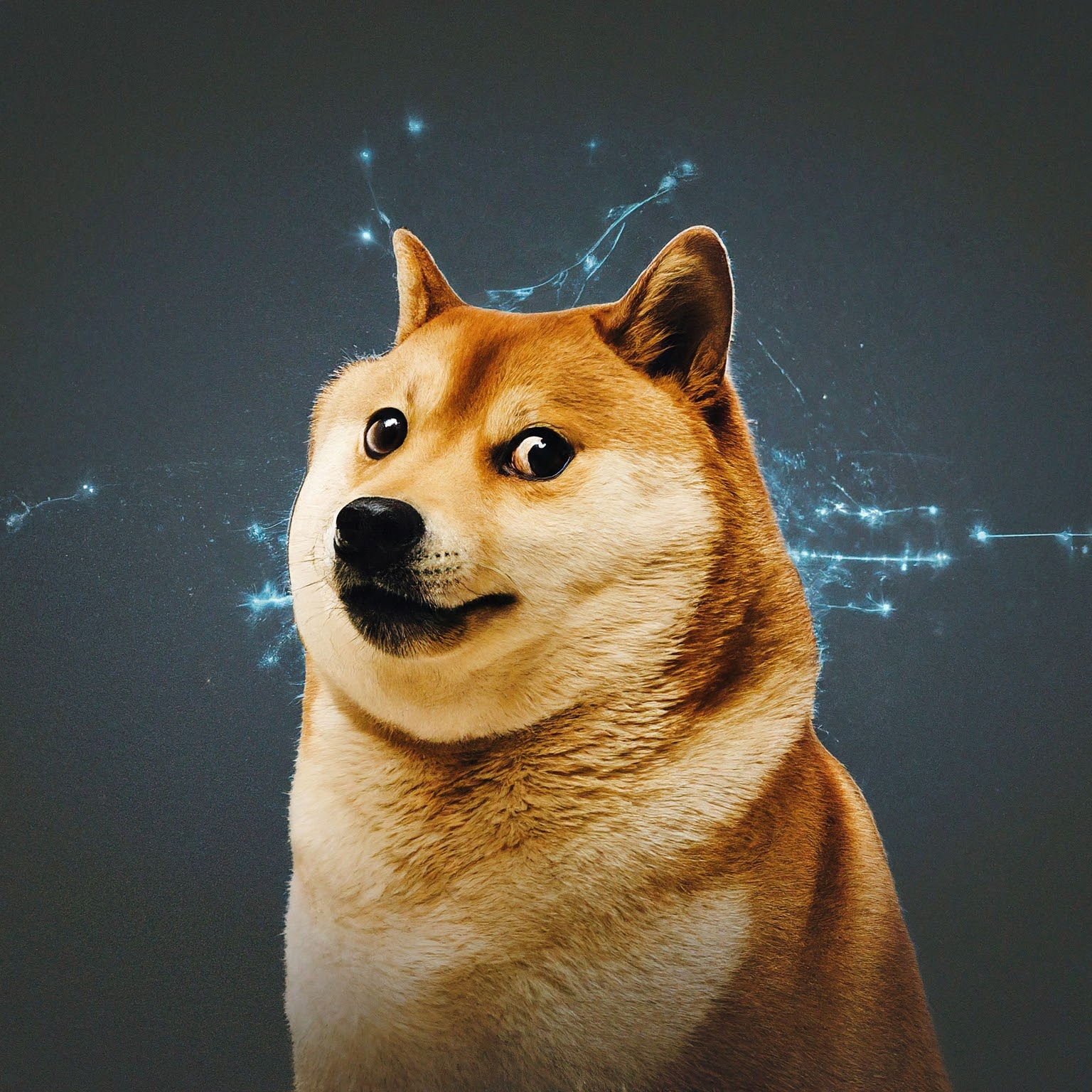 Dogecoin: Mineradora investe pesado, mas qual o impacto real?