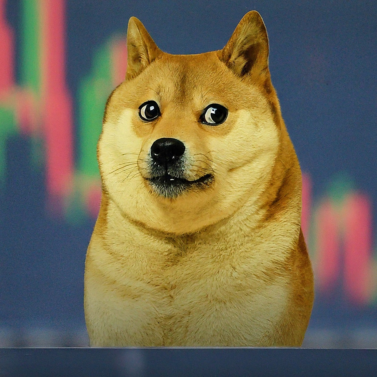 Dogecoin: Volume explode, mas preço patina. Sinal de quê?
