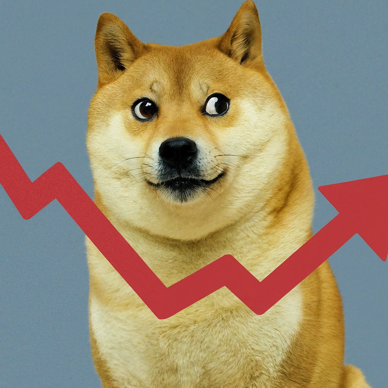 Dogecoin despenca 4%: qual o motivo da queda repentina?